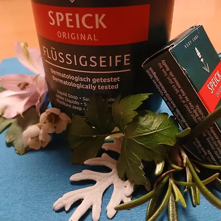 Fruehstueckspension Alte Schule * Sankt Oswald (Carinthia)